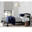 Rosebery Kids Modern Wood Twin Kids Slat Bed with 4 Legs in Black