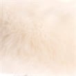 Elle Decor Cami Vanity Chair in French Cream