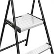 COSCO Two-Step Folding Step Stool with Rubber Hand Grip in Black