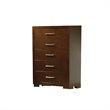 2 Piece Chest and Drawer Set in Dark Cappuccino