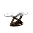 Darbunic Contemporary 3-Piece Glass Top Coffee Table Set in Dark Walnut