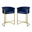 Home Square 2 Piece Velvet Counter Stool Set with Gold Metal Base in Navy Blue
