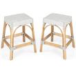 Home Square 2 Piece Rattan Counter Stool Set in Gray and White