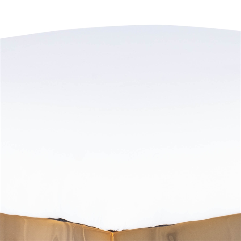 Home Square 2 Piece Acrylic and Polished Brass Counter Stool Set in White
