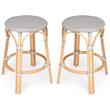 Home Square 2 Piece Rattan Counter Stool Set in Gray and White
