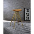 Home Square 4-Piece Bar Stool (Set-2) Set in Whiskey PU & Gold