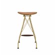 Home Square 4-Piece Bar Stool (Set-2) Set in Whiskey PU & Gold