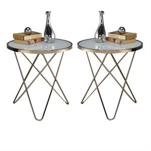 Home Square 2-Piece Furniture End Table Set in Frosted Glass and Champagne