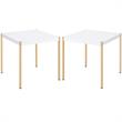 Home Square 2-Piece Furniture Round End Table Set in White & Gold