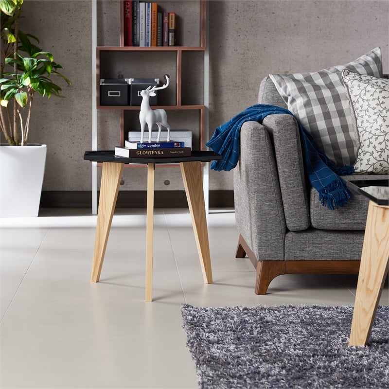 Home Square Bok Modern Chic Metal Tray-Top End Table in Black - Set of 2