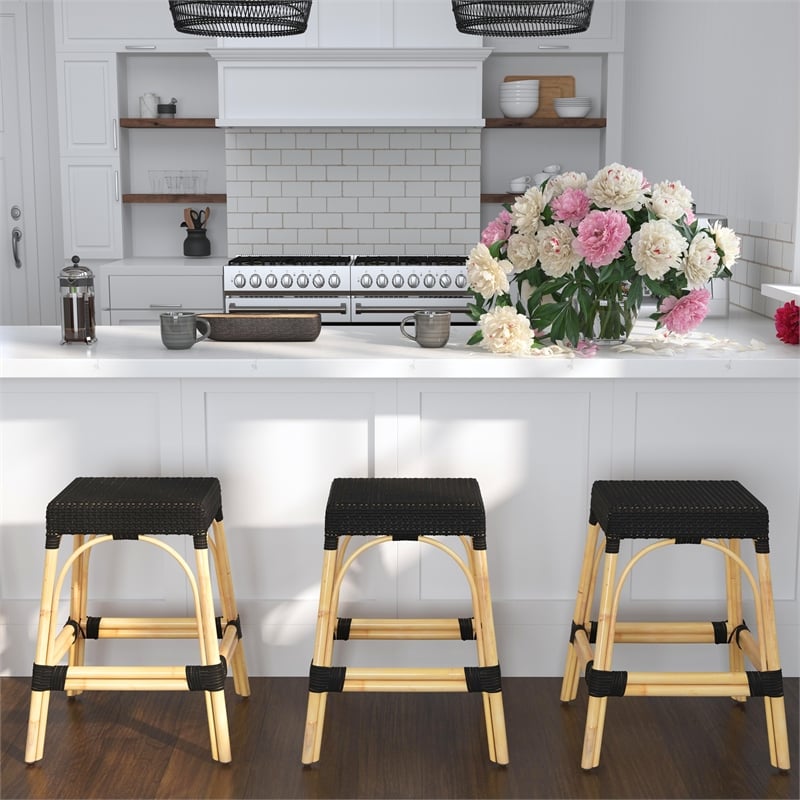Home Square Coastal Modern Rattan Counter Stool in Black - Set of 2