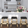Home Square Coastal Modern Rattan Counter Stool in Black - Set of 2