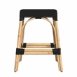 Home Square Coastal Modern Rattan Counter Stool in Black - Set of 2