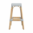 Home Square Rattan Barstool in Blue and White Finish - Set of 2