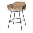 Home Square Metal & Rattan Counter Stool in Black & Natural - Set of 2