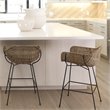 Home Square Metal & Rattan Counter Stool in Black & Natural - Set of 2