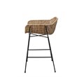 Home Square Metal & Rattan Counter Stool in Black & Natural - Set of 2