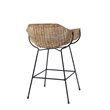Home Square Metal & Rattan Counter Stool in Black & Natural - Set of 2