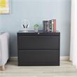 Home Square Set of 2 2-Drawer Lateral Locking Filing Cabinet with Lock in Black