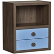 Little Seeds Sierra Ridge Terra 2 Drawer Bookcase in Walnut and Blue