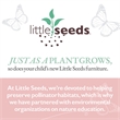 Little Seeds Rowan Valley Linden Kids Full Size Teal Bedframe