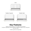 Little Seeds Aviary 3-in-1 Crib with Adjustable Mattress Height in White