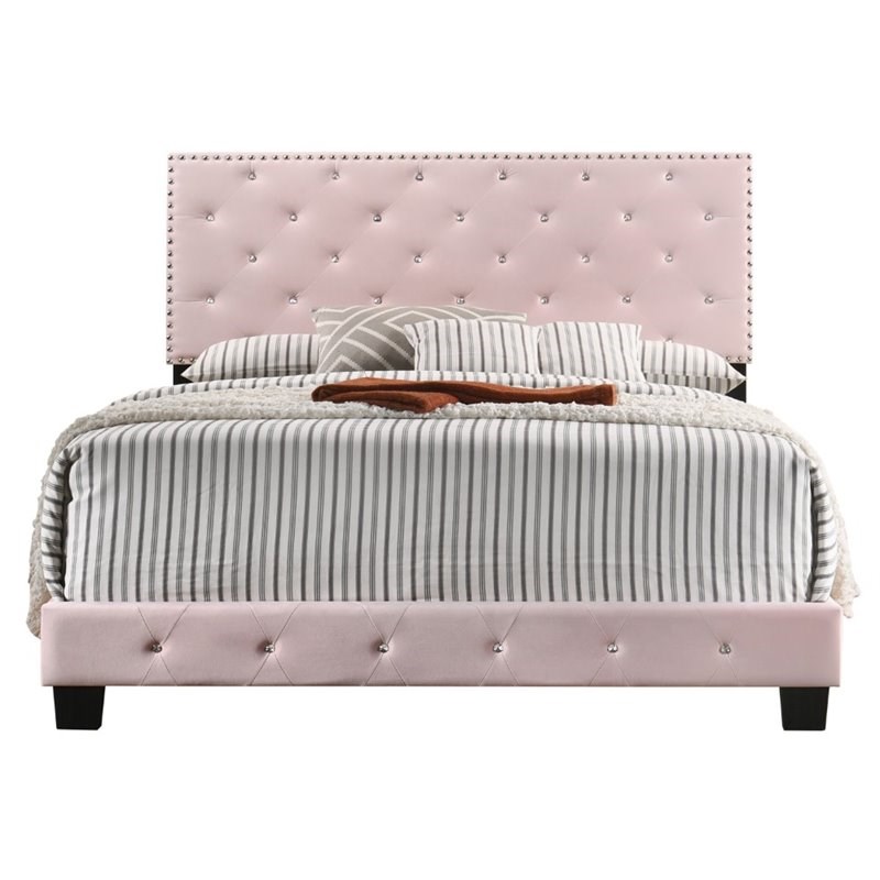 Maklaine Transitional Velvet Upholstered Queen Bed with Faux Jewels in Pink