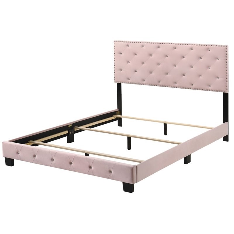 Maklaine Transitional Velvet Upholstered Queen Bed with Faux Jewels in Pink