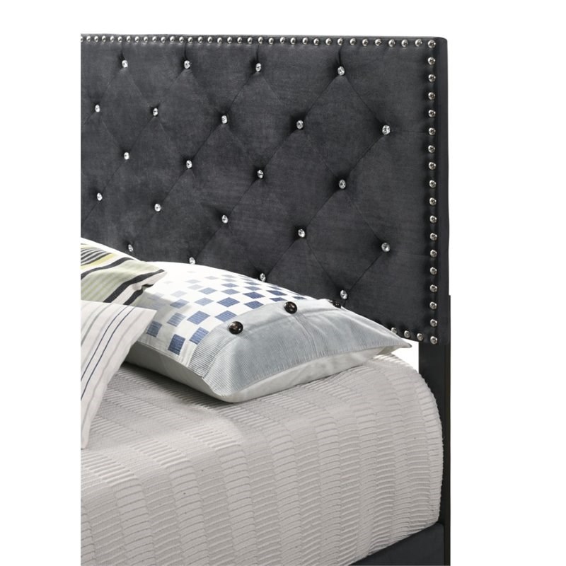 Maklaine Transitional Velvet Upholstered Queen Bed with Faux Jewels in Black
