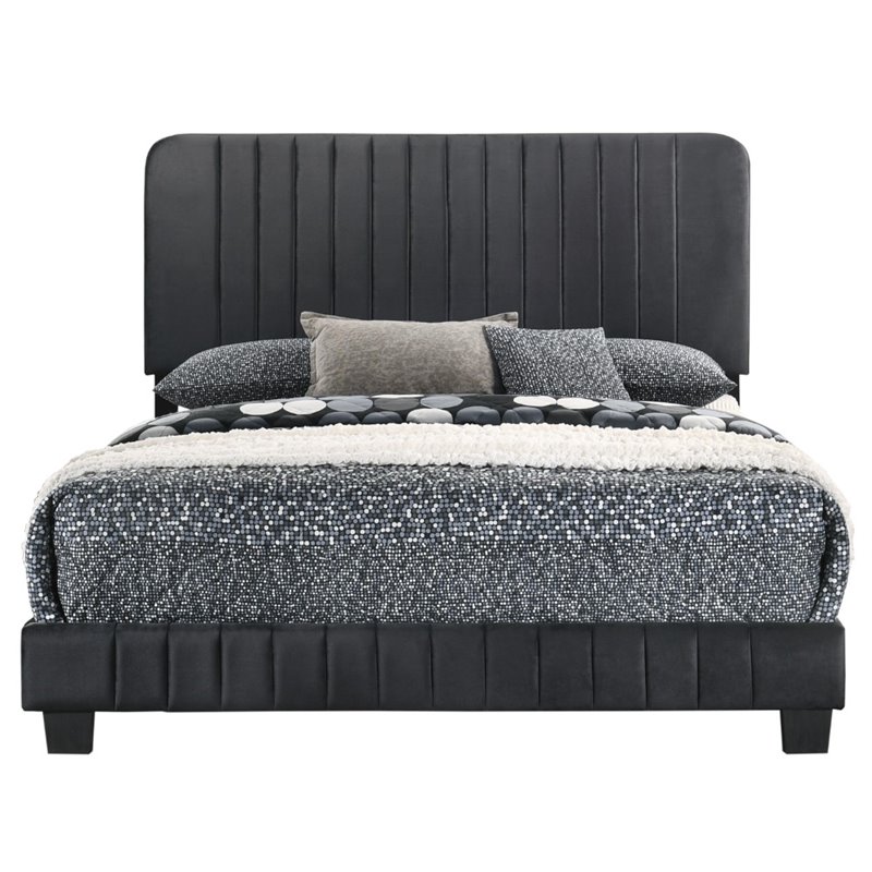 Maklaine Modern Upholstered Velvet Upholstered King Bed in Black