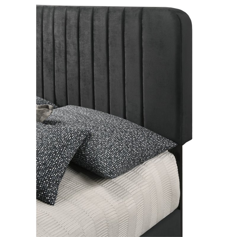 Maklaine Modern Upholstered Velvet Upholstered King Bed in Black