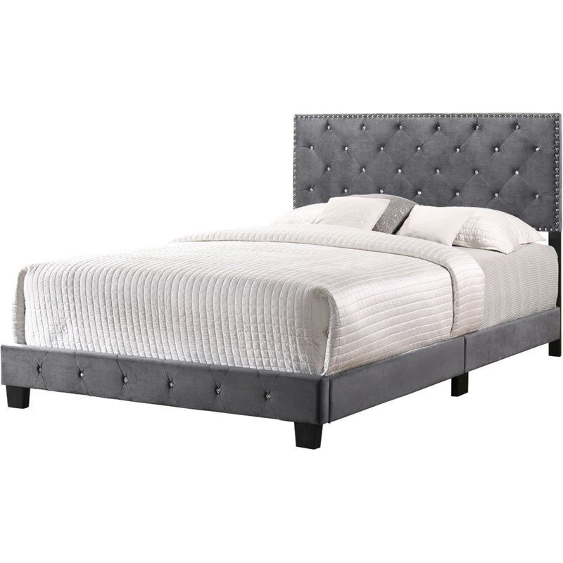 Maklaine Transitional Upholstered Velvet Queen Bed in Gray Finish