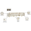 Maklaine Modern / Contemporary Cream Velvet Modular Sectional