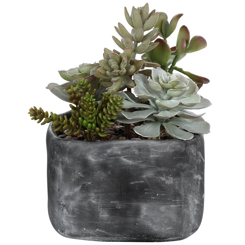 Maklaine Contemporary Plastic Iron Cement Succulents in Black/Green