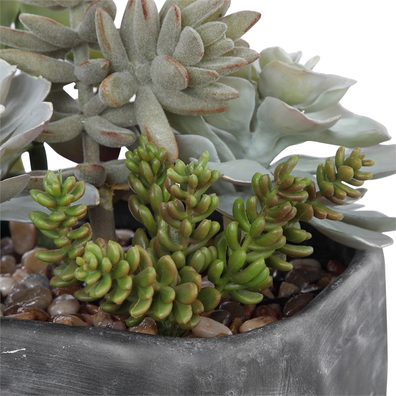 Maklaine Contemporary Plastic Iron Cement Succulents in Black/Green