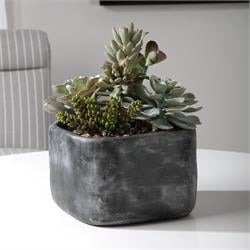 Faux Florals / Plants