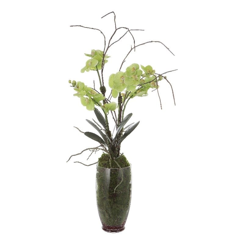 Maklaine Contemporary Polyester Polyfoam and Plastic Orchid in Green