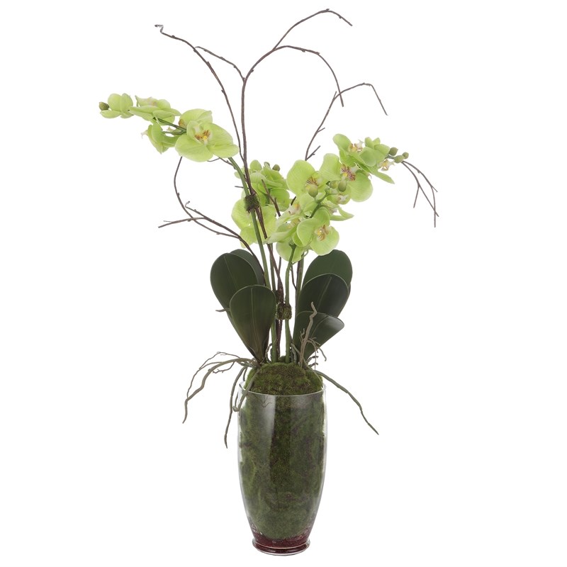 Maklaine Contemporary Polyester Polyfoam and Plastic Orchid in Green
