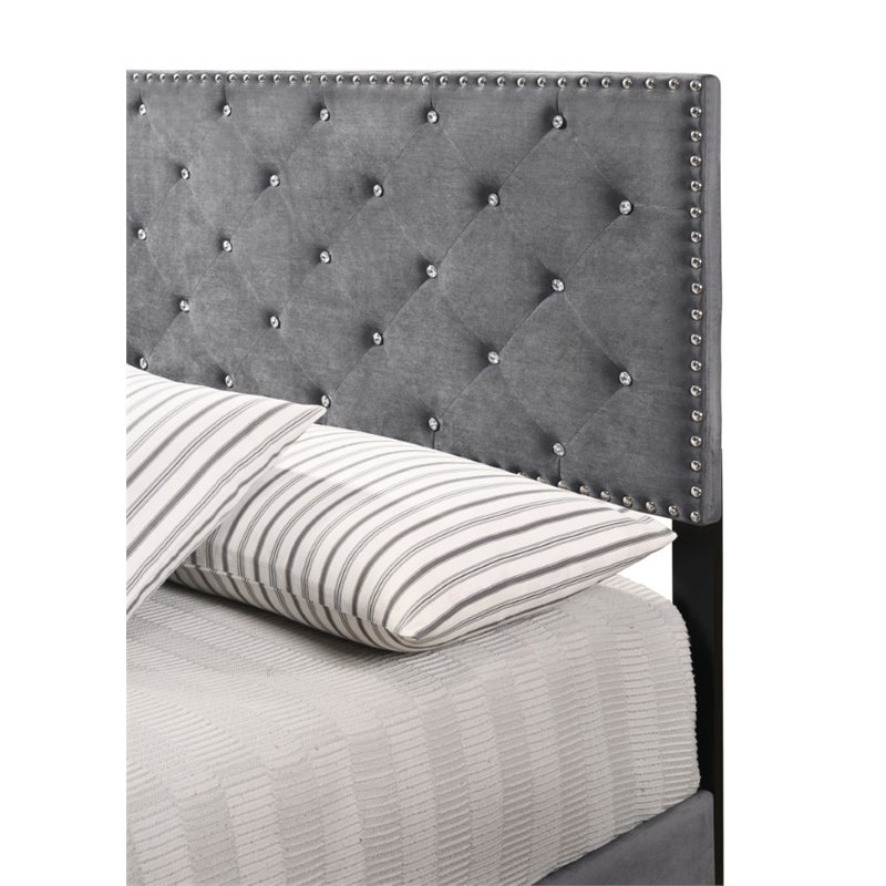 Maklaine Contemporary Velvet Upholstered King Bed in Gray Finish
