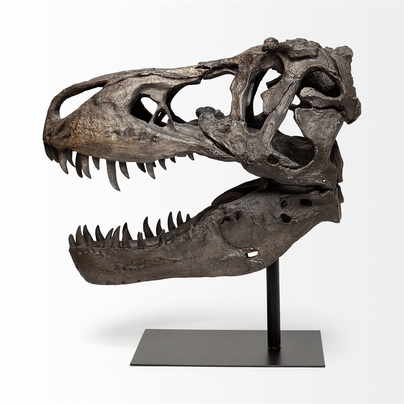 Maklaine Metal Replica Dinosaur Tyrannosaurus Black/Brass T-Rex Skull
