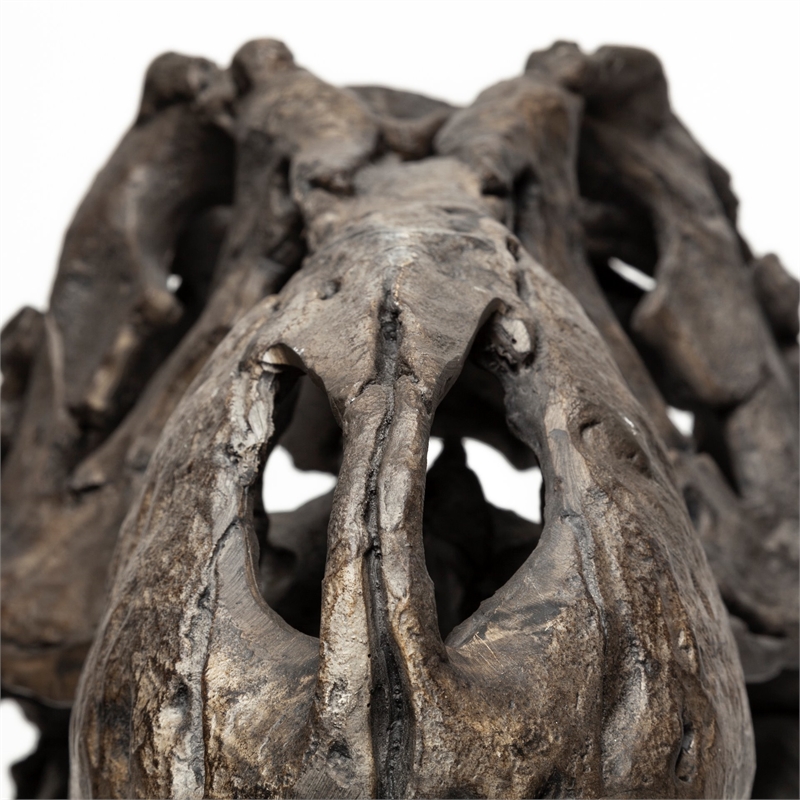 Maklaine Metal Replica Dinosaur Tyrannosaurus Black/Brass T-Rex Skull
