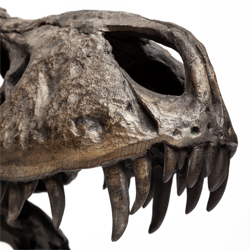 Maklaine Metal Replica Dinosaur Tyrannosaurus Black/Brass T-Rex Skull