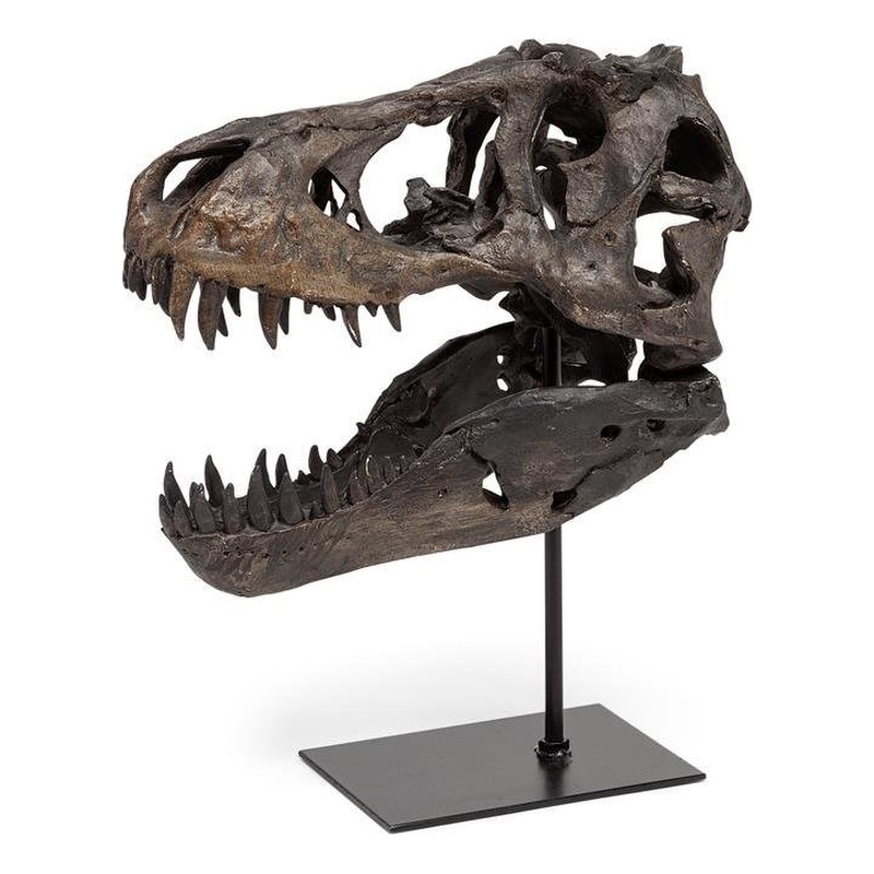 Maklaine Metal Replica Dinosaur Tyrannosaurus Black/Brass T-Rex Skull