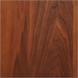 Maklaine Contemporary Wood Large Record Storage Console Walnut