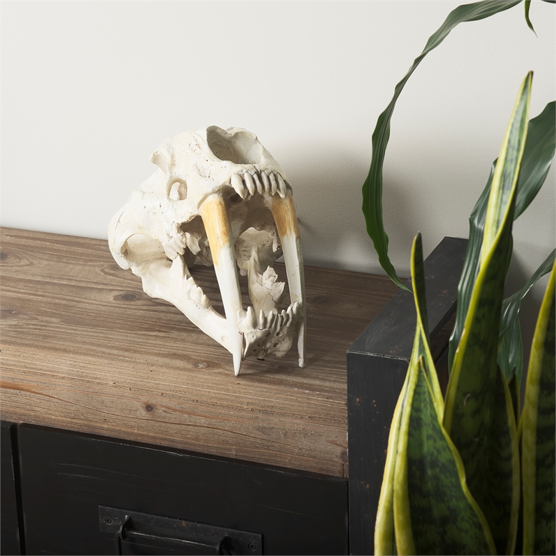 Maklaine Contemporary White and Tan Colored Resin Sabretooth Skull Replica