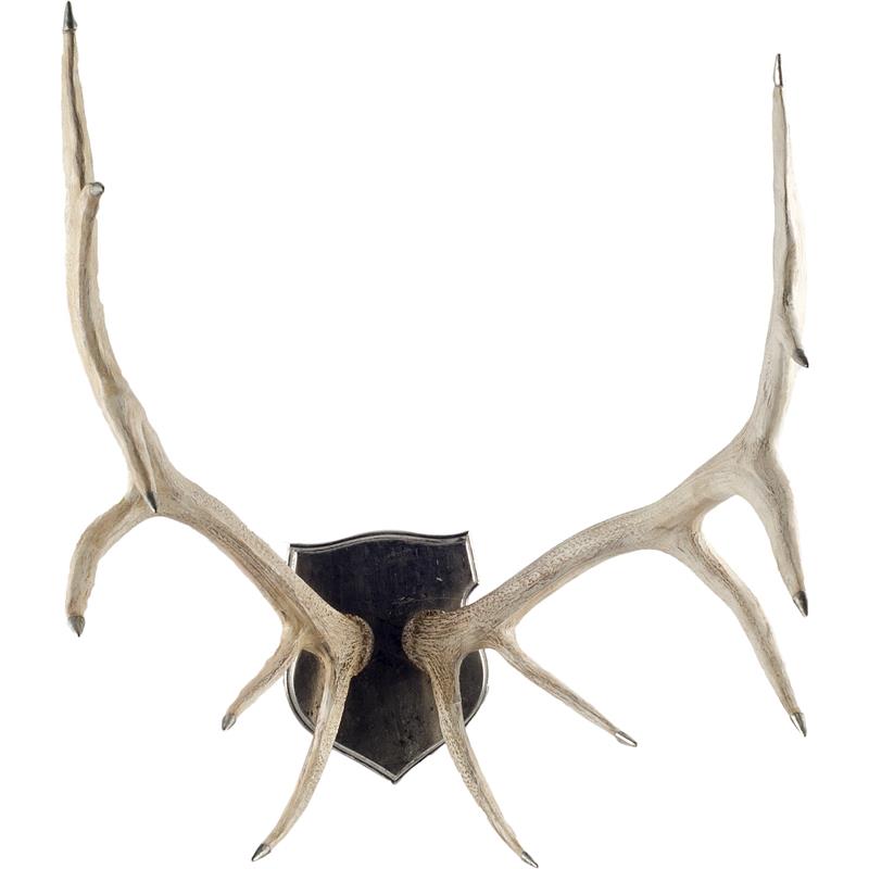 Maklaine Traditional Natural Off White Finish set of Resin Replica Deer Antlers