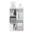 Maklaine Engineered Wood 5-Cube Reversible Open Shelf in White