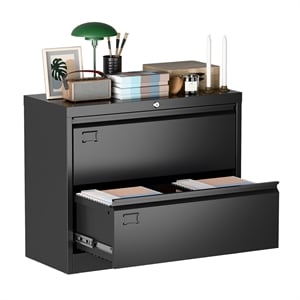Maklaine 2-Drawer Steel Metal Lateral Locking Filing Cabinet with Lock in Black