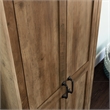 Maklaine 2 Door Engineered Wood Storage Cabinet in Rural Pine
