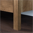 Maklaine 2 Door Engineered Wood Storage Cabinet in Rural Pine